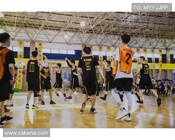 广州与成都排球队赛后技术分析与战术对比全景回顾