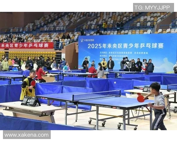 西安乒乓球队的拼搏历程与荣耀时刻全景回顾